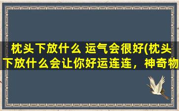 枕头下放什么 运气会很好(枕头下放什么会让你好运连连，神奇物品揭秘！)